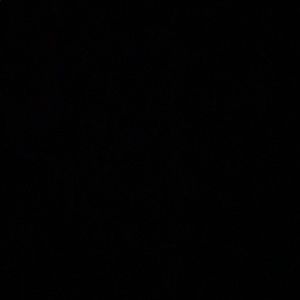 Meet your Posher, Lacy